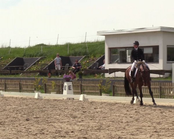 Reitturnier Schülp / Rendsburg 2023