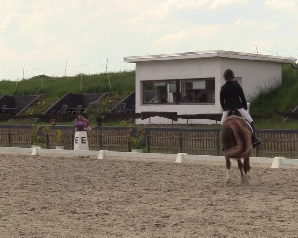 Reitturnier Schülp / Rendsburg 2023