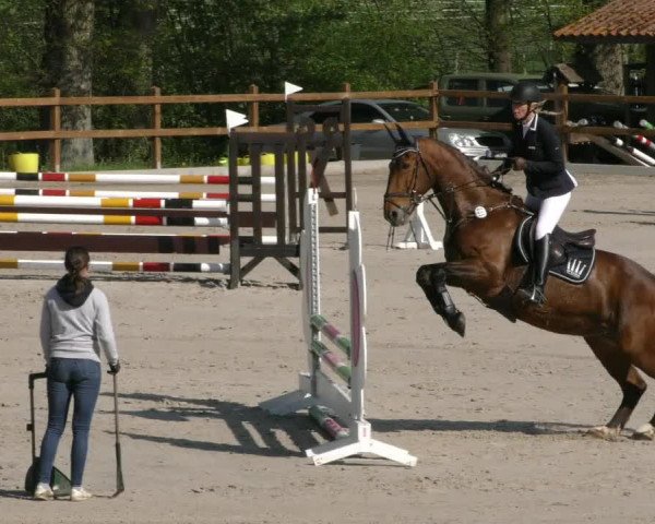 Reitturnier Alvern 2023