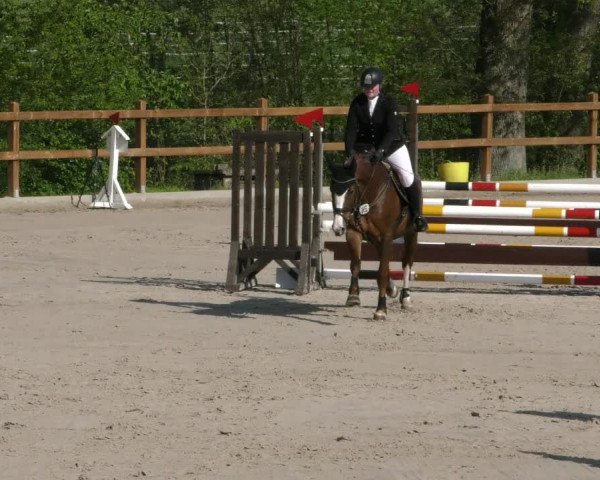 Reitturnier Alvern 2023