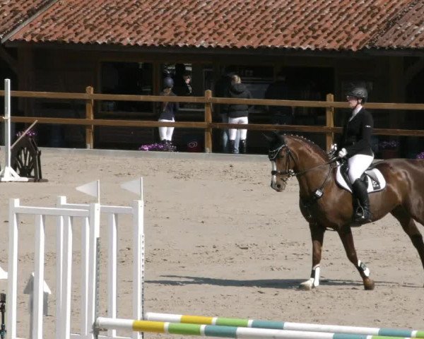 Reitturnier Alvern 2023