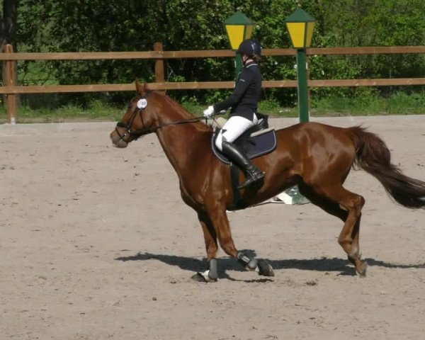 Reitturnier Alvern 2023
