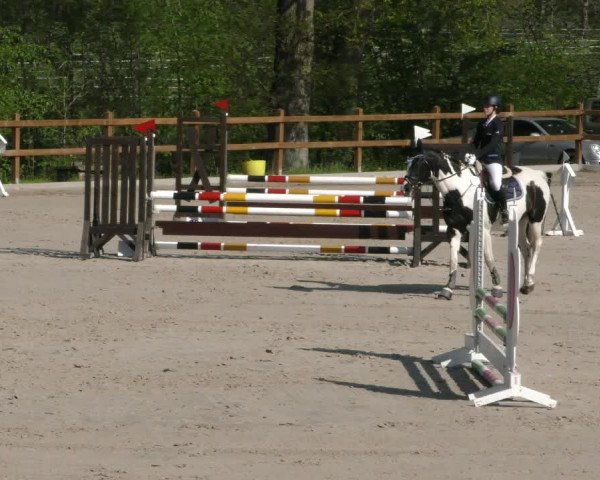 Reitturnier Alvern 2023