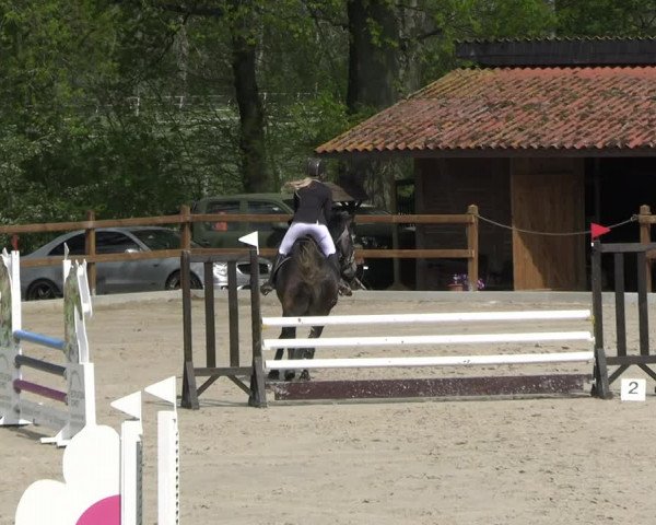 Reitturnier Alvern 2023
