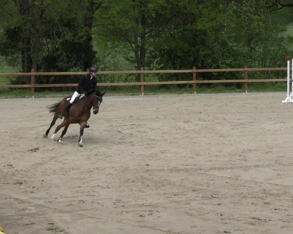 Reitturnier Alvern 2023