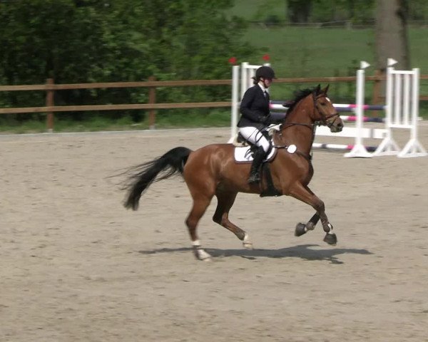 Reitturnier Alvern 2023