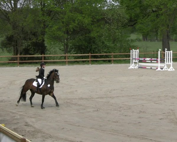 Reitturnier Alvern 2023