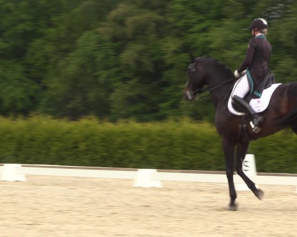 Reitturnier Röhrsdorf/ Chemnitz 2023