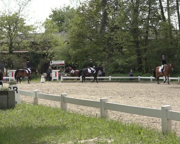 Reitturnier Meppen 2023