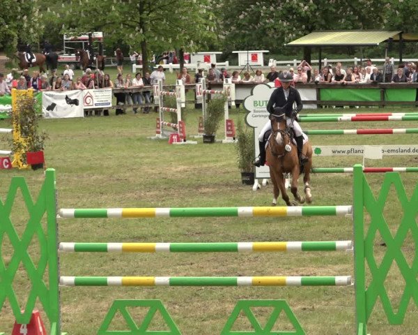 Reitturnier Meppen 2023