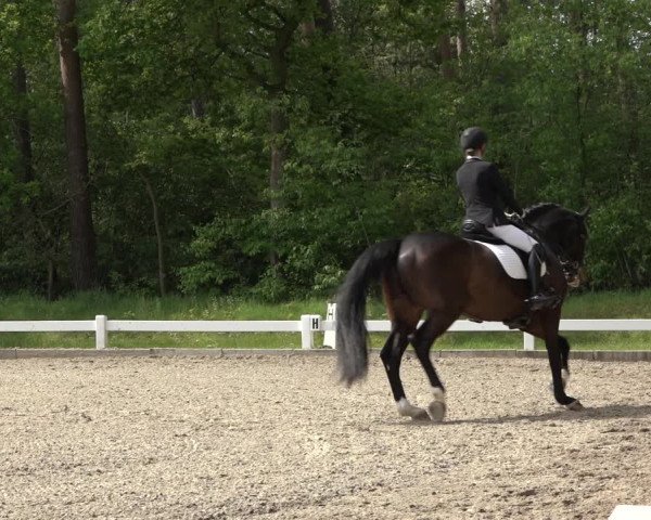 Reitturnier Meppen 2023