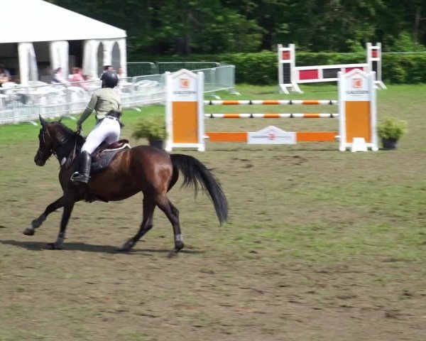 Reitturnier Jülich 2023