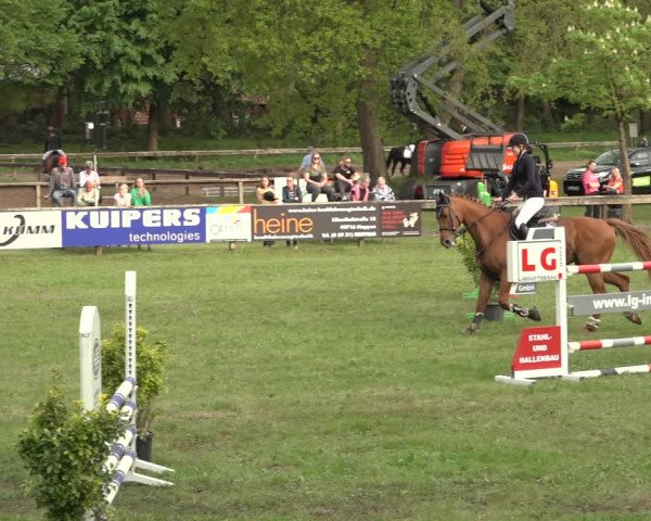 Reitturnier Meppen 2023