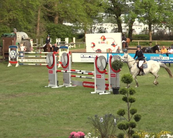 Reitturnier Meppen 2023