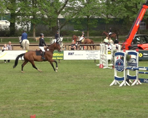 Reitturnier Meppen 2023