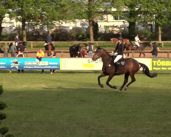 Reitturnier Meppen 2023