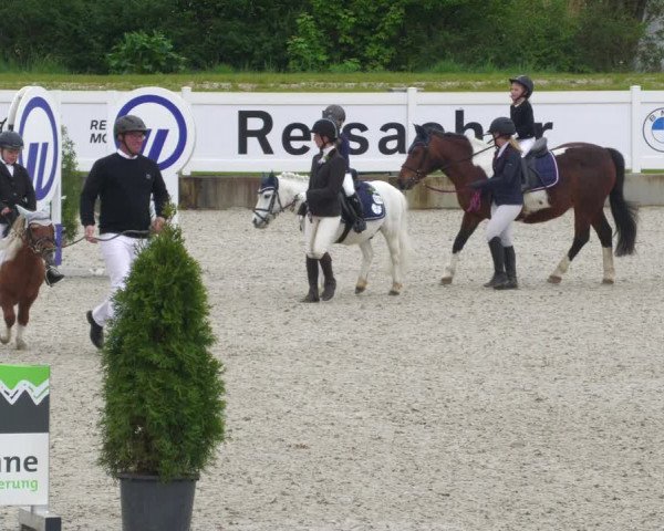 Reitturnier Babenhausen 2023