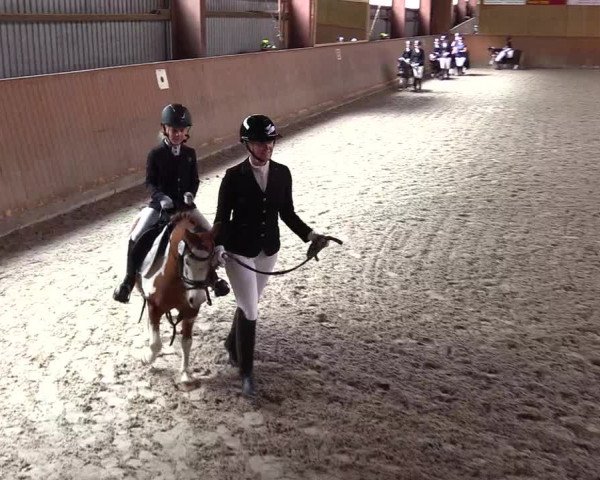 Reitturnier Risum-Lindholm 2023