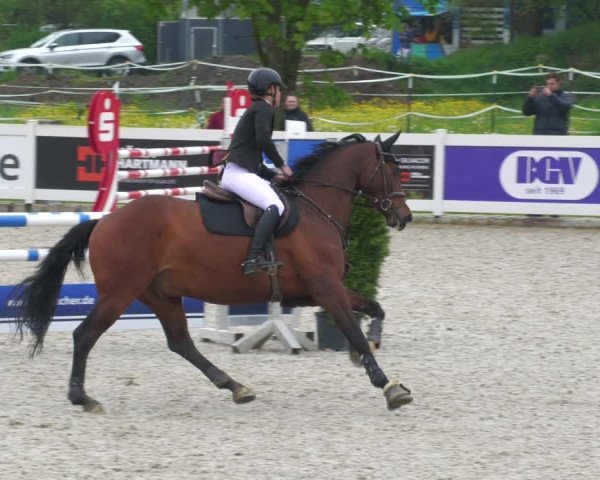 Reitturnier Babenhausen 2023
