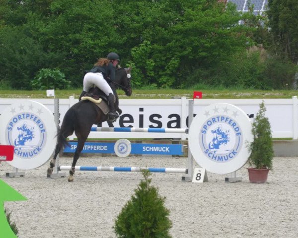 Reitturnier Babenhausen 2023