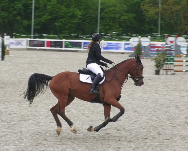 Reitturnier Babenhausen 2023