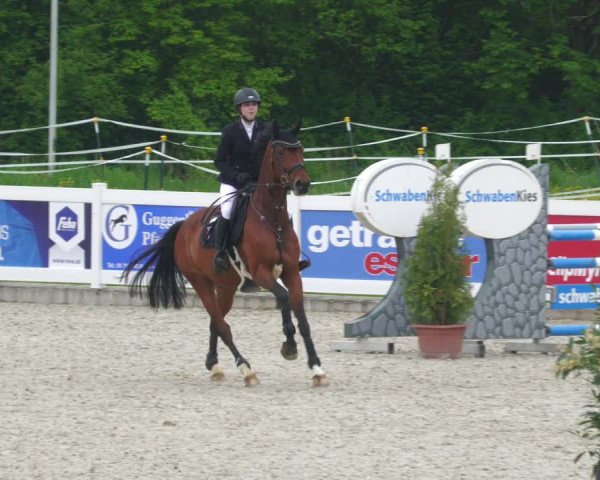 Reitturnier Babenhausen 2023