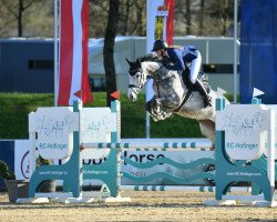 jumper Chin Chin (KWPN (Royal Dutch Sporthorse), 2017, from Toulon)