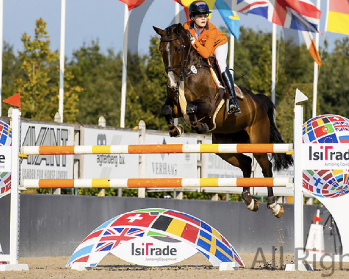 jumper Esprit (KWPN (Royal Dutch Sporthorse), 2009, from Sir Scandic)