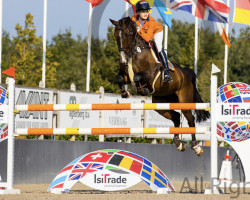 jumper Esprit (KWPN (Royal Dutch Sporthorse), 2009, from Sir Scandic)