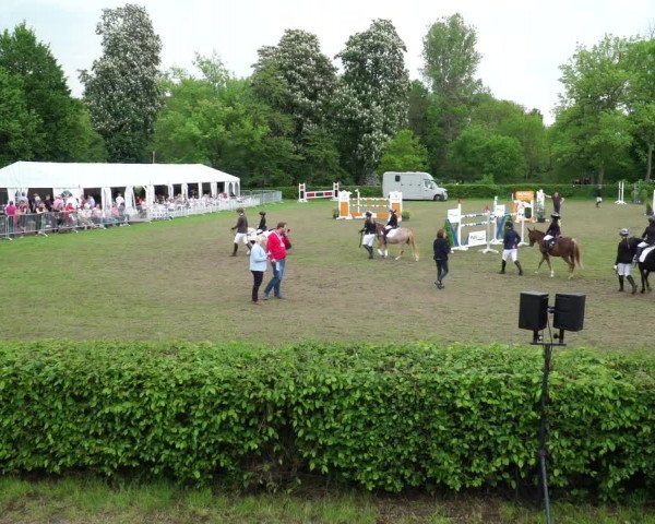 Reitturnier Jülich 2023