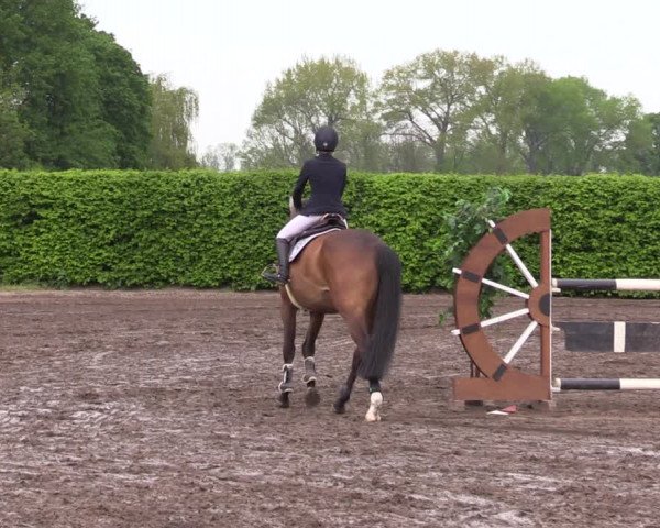 Reitturnier Lentzke - Reitanlage Krehl 2023