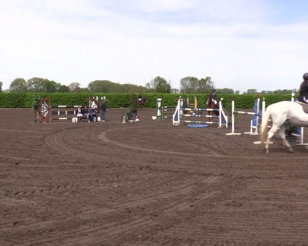 Reitturnier Lentzke - Reitanlage Krehl 2023