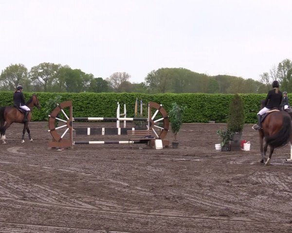 Reitturnier Lentzke - Reitanlage Krehl 2023