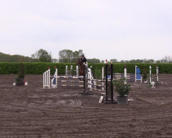 Reitturnier Lentzke - Reitanlage Krehl 2023