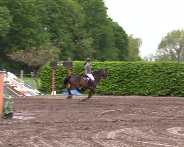 Reitturnier Lentzke - Reitanlage Krehl 2023