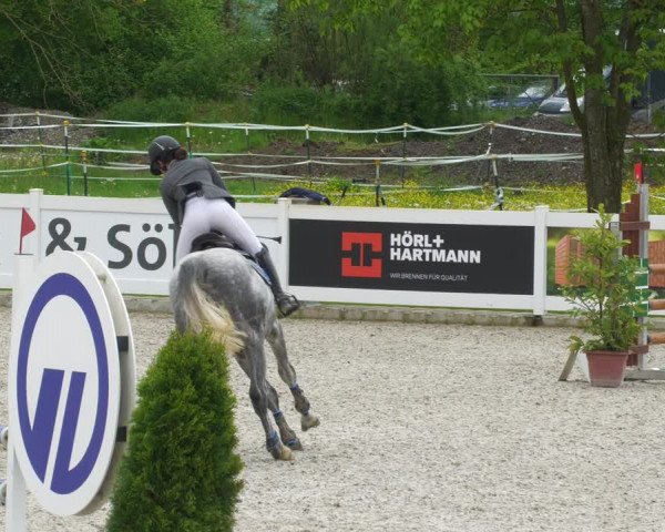 Reitturnier Babenhausen 2023