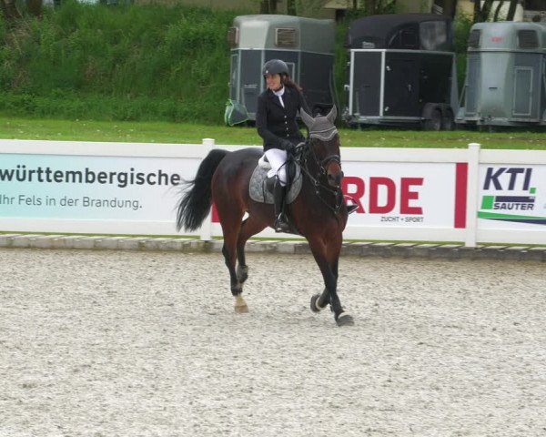 Reitturnier Babenhausen 2023