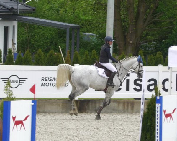 Reitturnier Babenhausen 2023