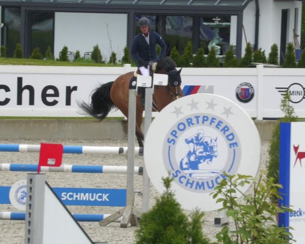 Reitturnier Babenhausen 2023