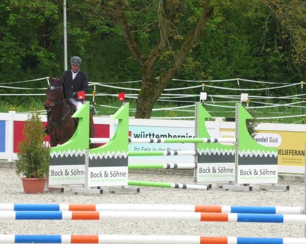 Reitturnier Babenhausen 2023