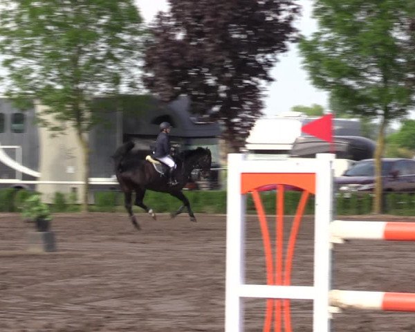 Reitturnier Lentzke - Reitanlage Krehl 2023
