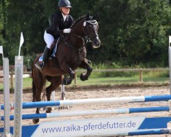 jumper Linus 425 (German Riding Pony, 2001, from Laudatio)