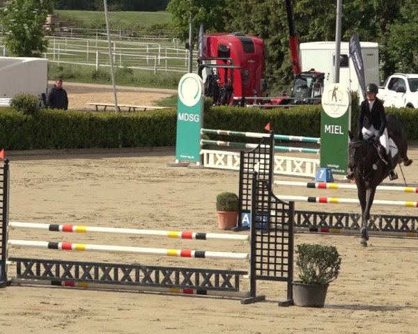 Reitturnier Bornheim Widdig 2023