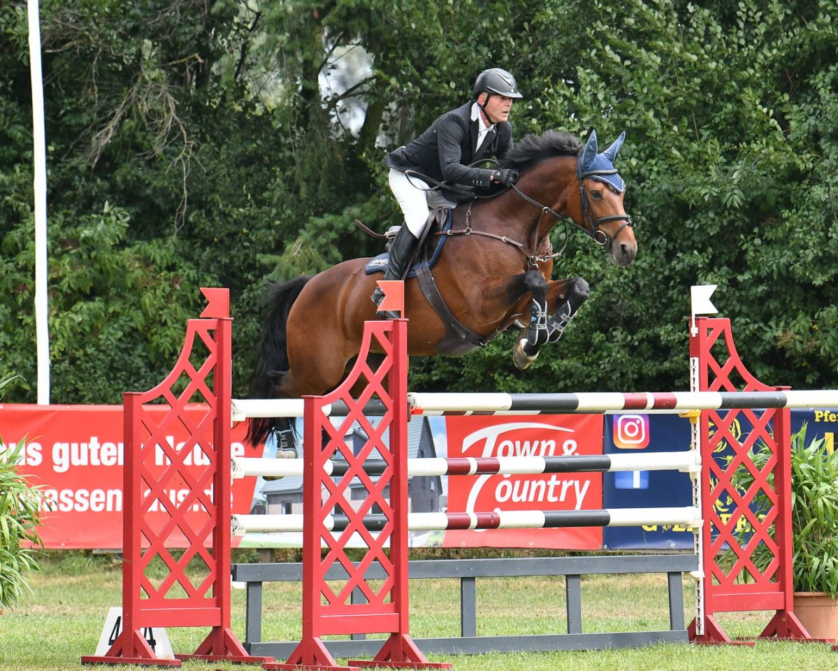 jumper Lutetia 13 (Hanoverian, 2010, from Lordanos)
