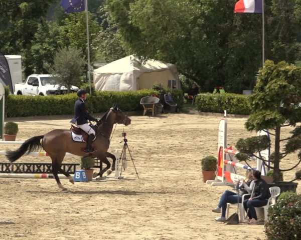 Reitturnier Bornheim Widdig 2023