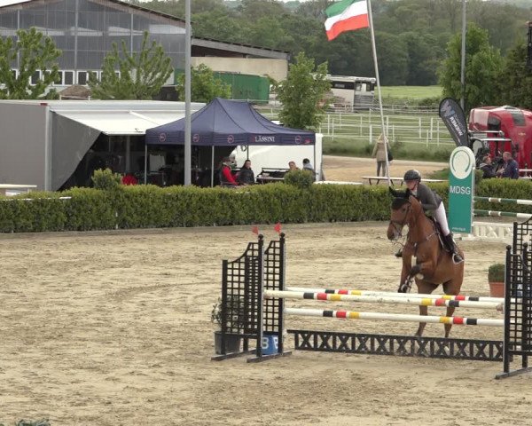 Reitturnier Bornheim Widdig 2023