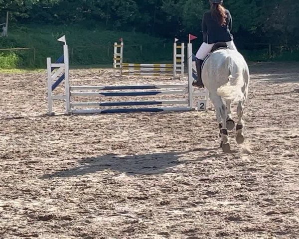 Reitturnier Weinheim 2023