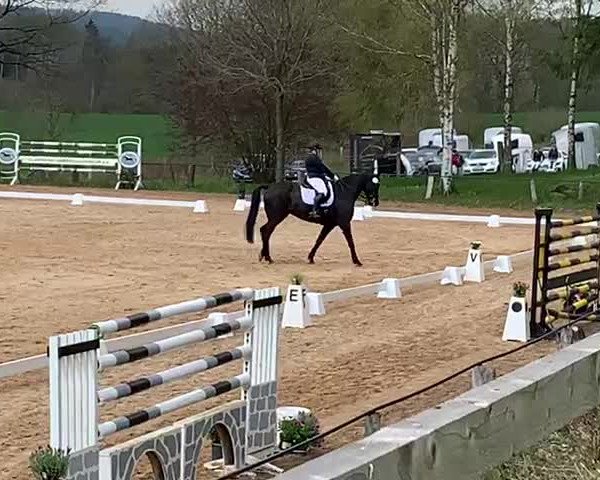 Reitturnier Uslar - Eichenhof 2023