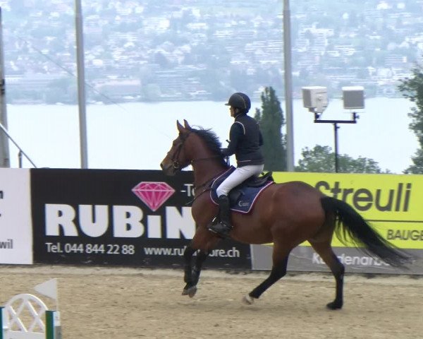 Reitturnier Wädenswil 2023