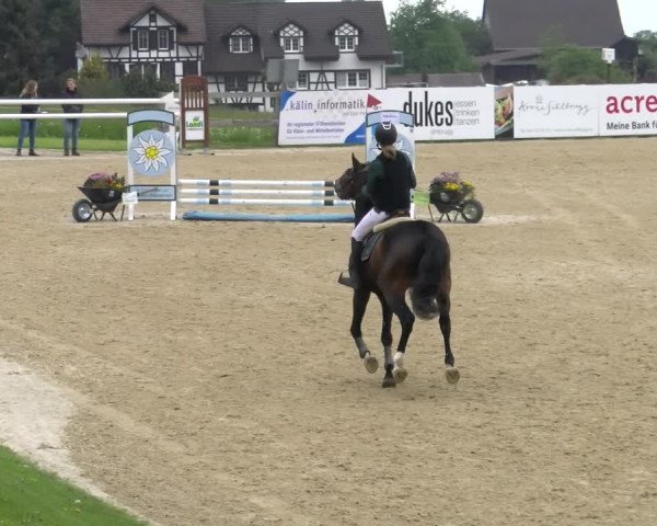 Reitturnier Wädenswil 2023